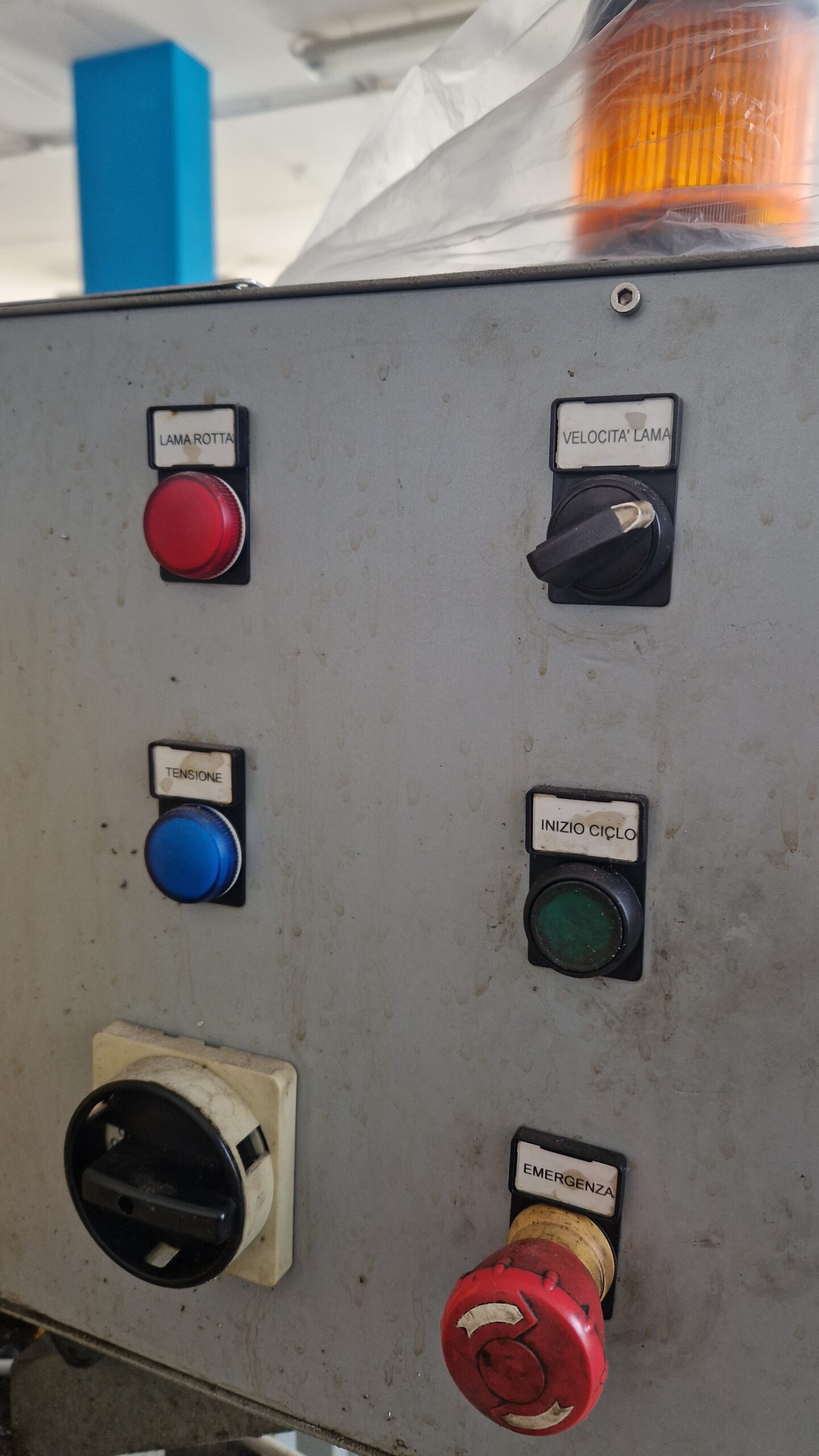 SS06 SEGATRICE LEONARD 300 - immagine 6