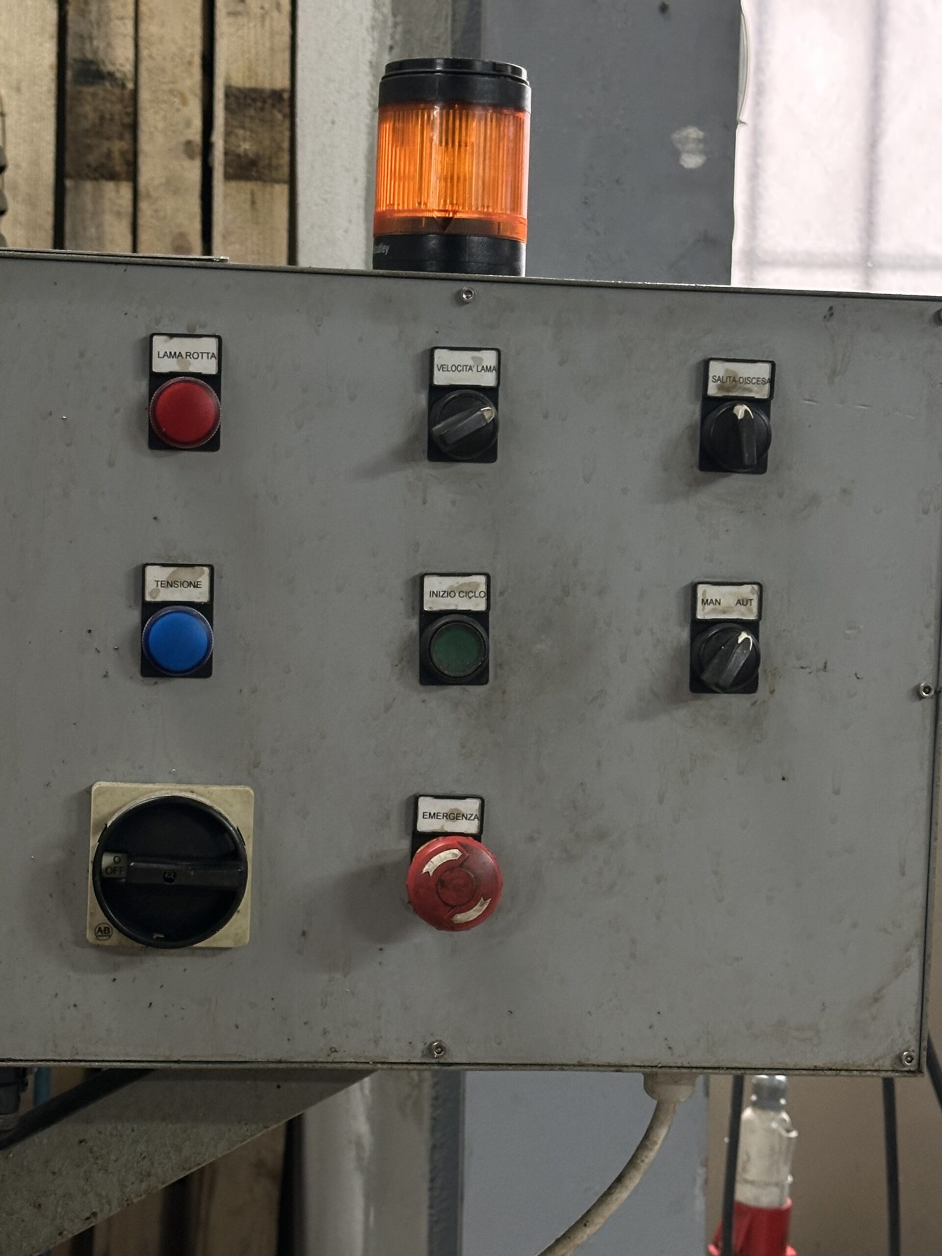 SS06 SEGATRICE LEONARD 300 - immagine 4