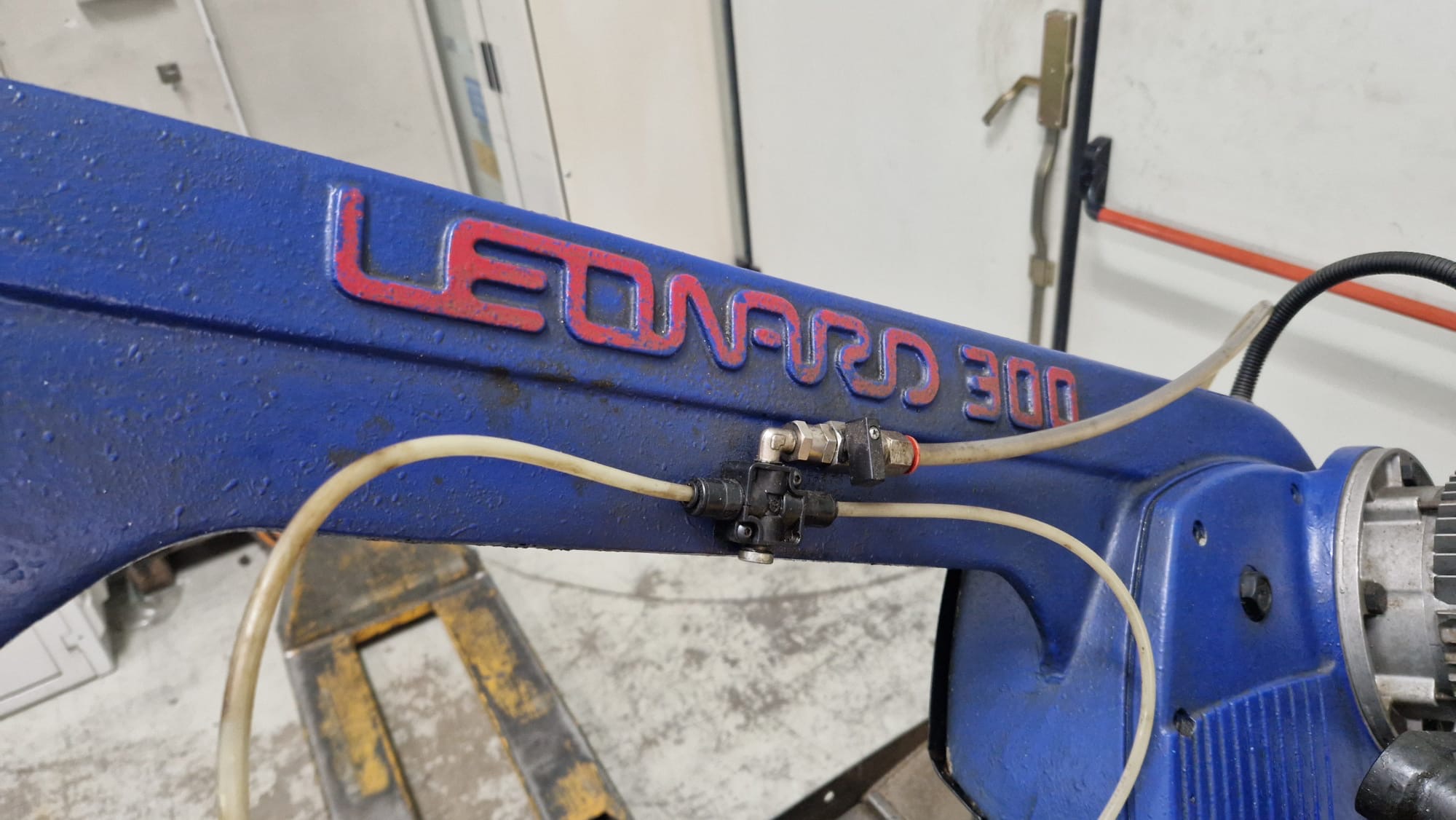 SS06 SEGATRICE LEONARD 300 - immagine 3